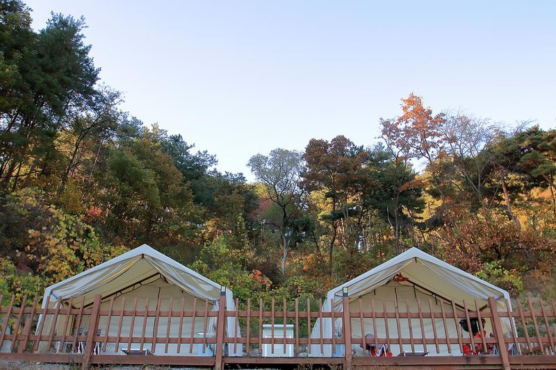 써니힐글램핑 시설 사진 8