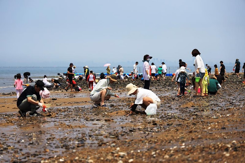 십리포해수욕장 야영장 시설 사진 12