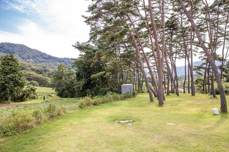 솔내음 물댄동산 야영장 시설 사진 3