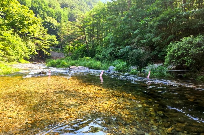또바기캠핑장 시설 사진 12