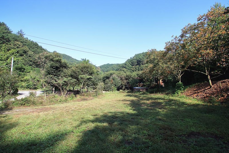 예산 느티나무 캠핑장 시설 사진 4