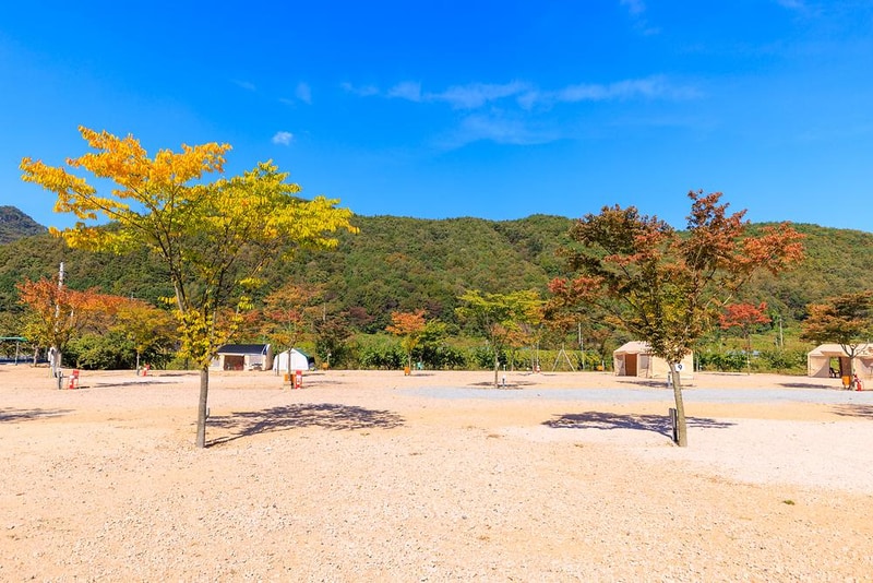 돌고래 오토 캠핑장 시설 사진 13