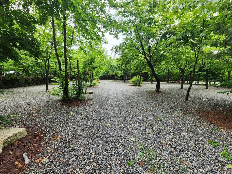 몬테비얀코 시설 사진 20