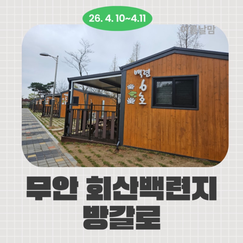 캠핑22th. 무안회산백련지 데크 2