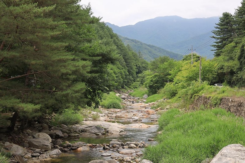 포시즌캠핑장 시설 사진 2