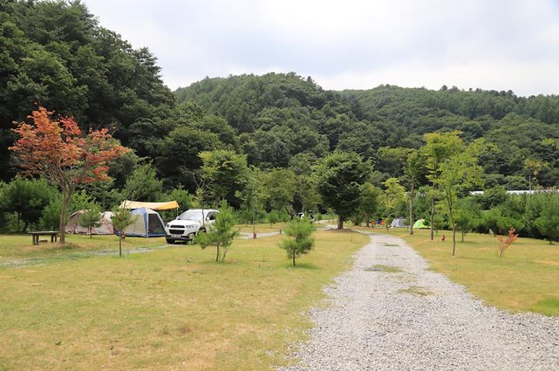 천사봉 오토 캠핑장 대표 사진