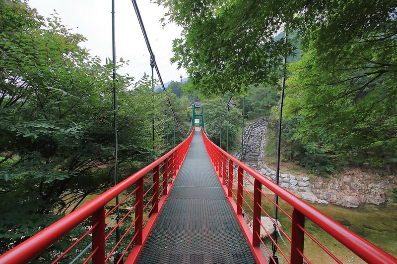 장령산자연휴양림 야영장 시설 사진 11