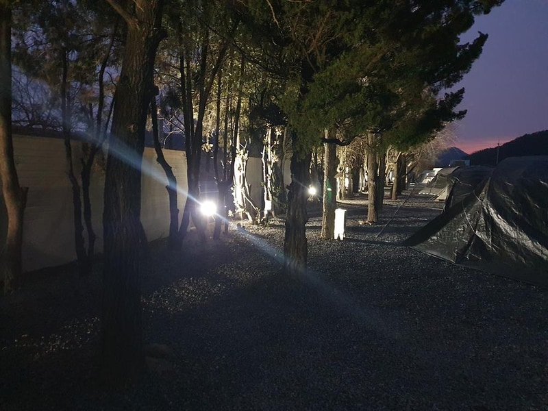 아메리카 RV CAMP PARK 시설 사진 16