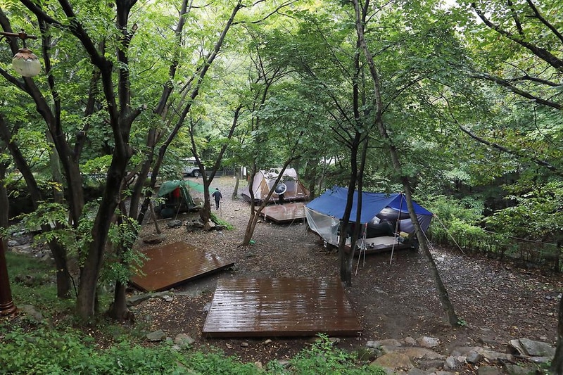 국립운문산자연휴양림 야영장 시설 사진 6