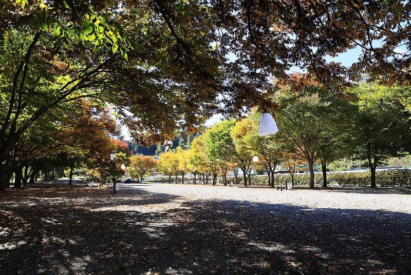 포도밸리 캠핑장 시설 사진 8