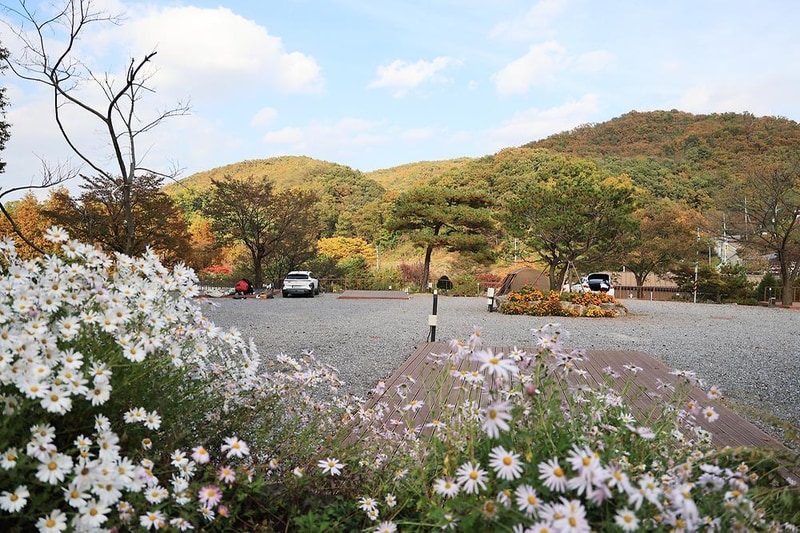 달사랑 캠핑장 시설 사진 23