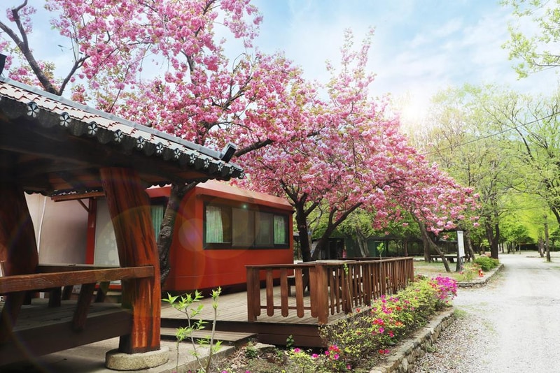 미산가족오토캠핑장 시설 사진 44