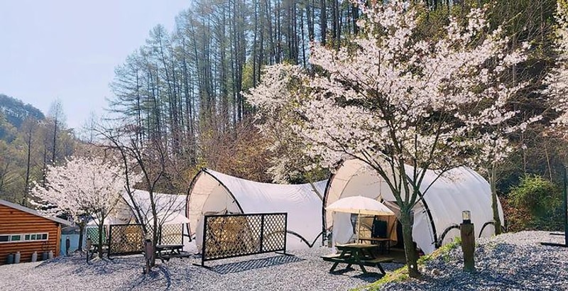 달숲스테이 대표 사진