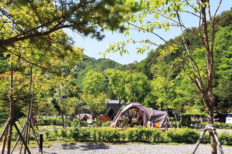 갯골자연휴양림 야영장 시설 사진 13