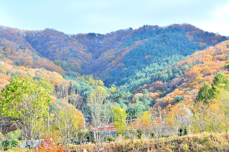 소풍캠핑장 시설 사진 14