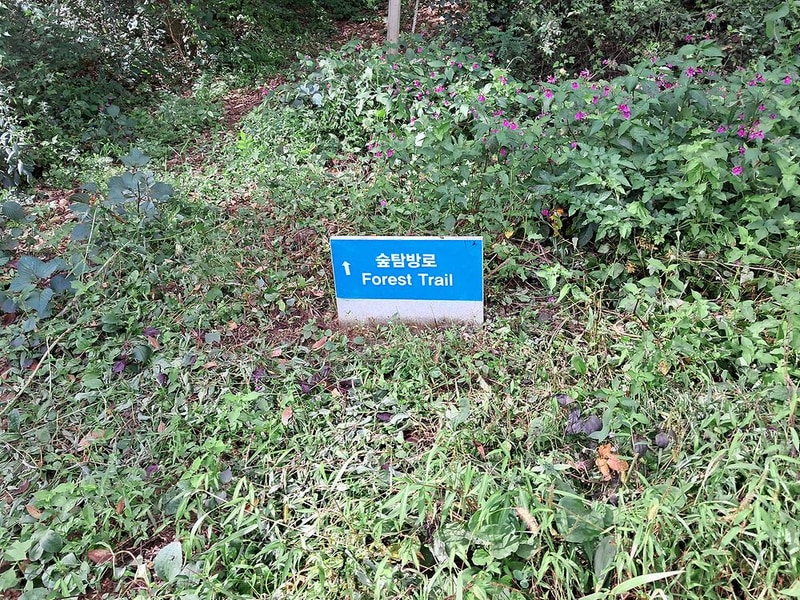 야생초마을아미골 시설 사진 6