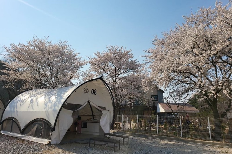 YJ글램핑 시설 사진 12