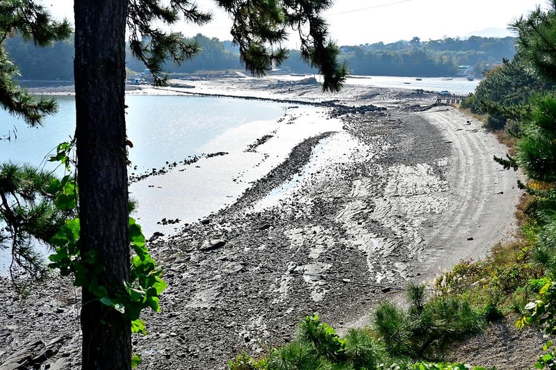 월등도 캠핑장 시설 사진 5
