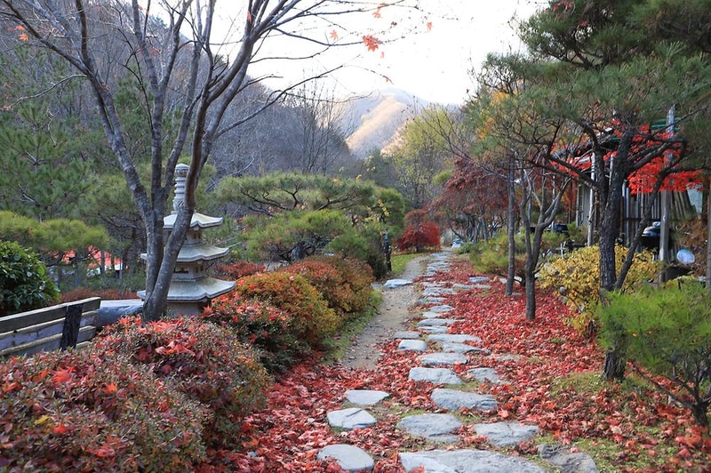 펜션벨뷰캠핑장 시설 사진 1