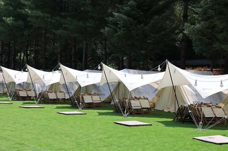 ㈜어메이징캠프 대표 사진