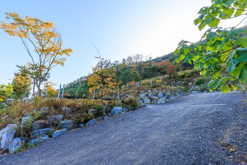 낭성 캠핑장 시설 사진 25