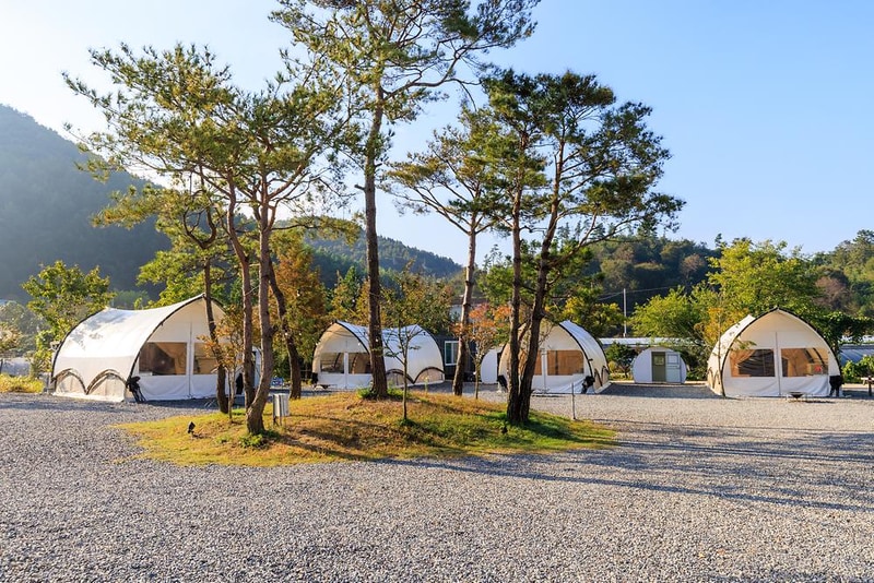대둔산 양촌 벤자민 글램핑 시설 사진 23