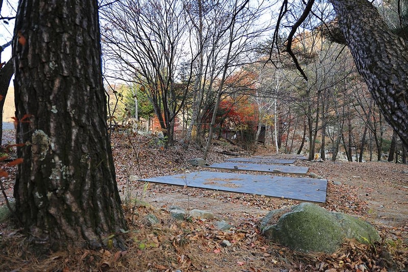 북극곰 야영장 시설 사진 9