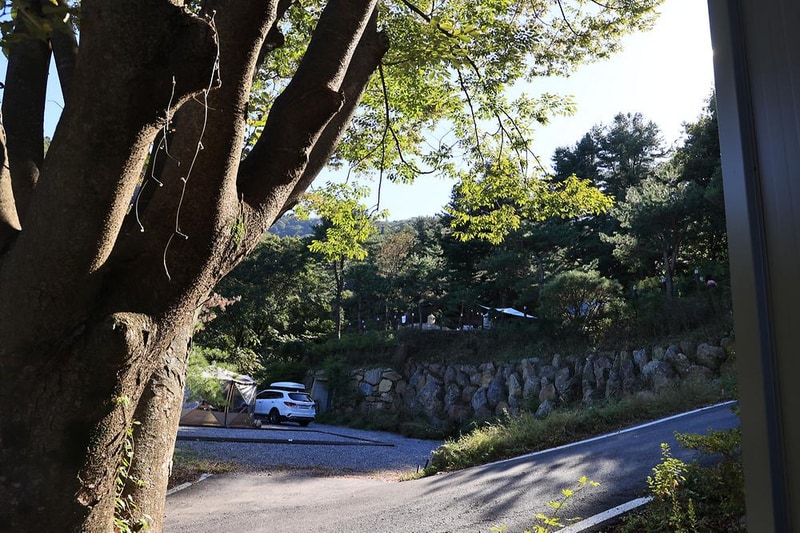 포레스트벨리캠프 시설 사진 19