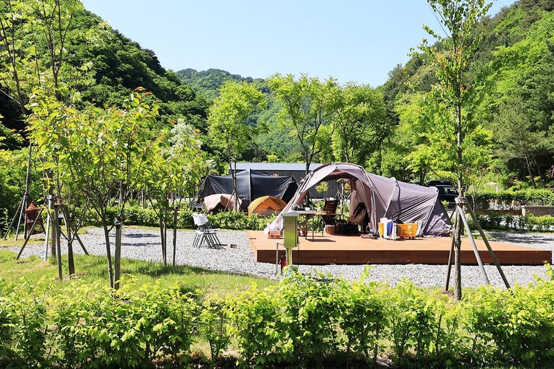 갯골자연휴양림 야영장 시설 사진 15