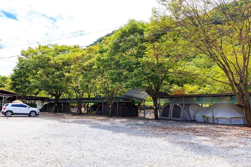 수룡캠핑장 대표 사진