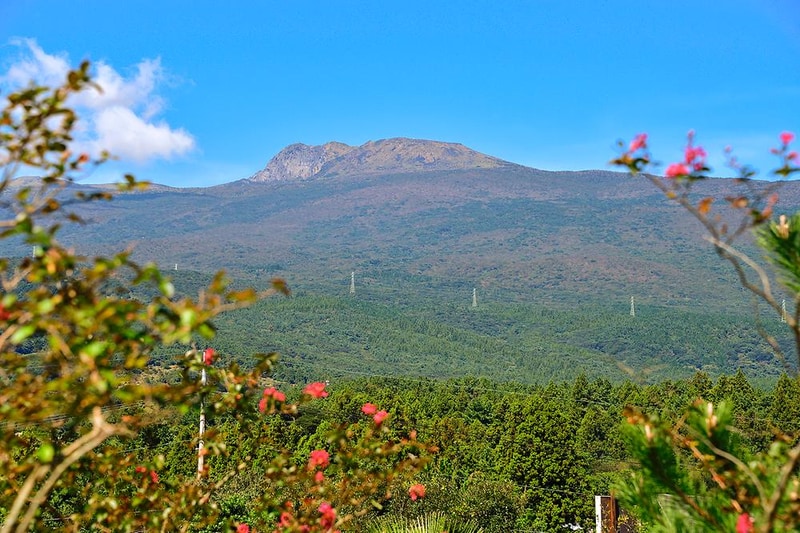 캠파제주 시설 사진 9