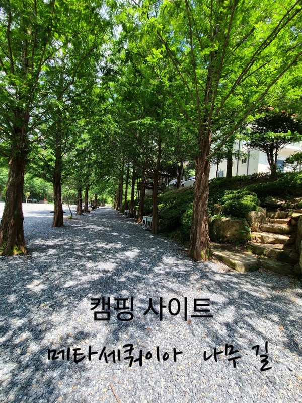 더 좋은날 n 캠핑 시설 사진 25