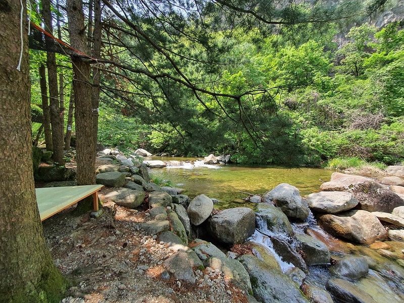 단양 천동계곡 캠핑장 그린농원 시설 사진 7