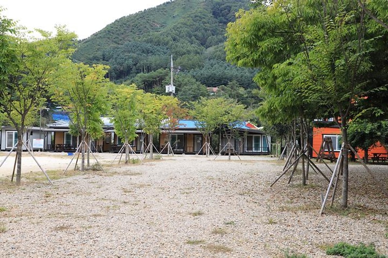 홍천고인돌오토캠핑장 대표 사진