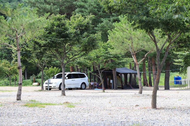 삼척엘림캠핑장 시설 사진 7