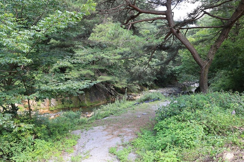 600마지기 가는길 야영장 시설 사진 14