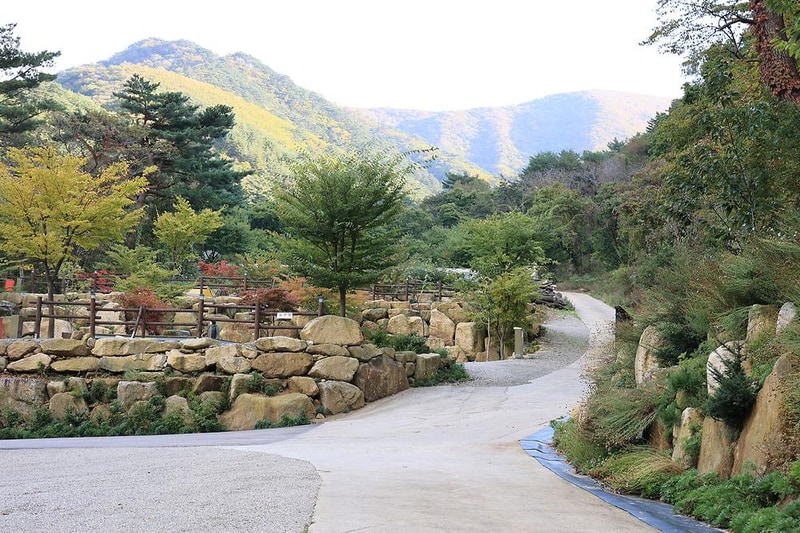 양양오색 휴랜드 야영장 시설 사진 9