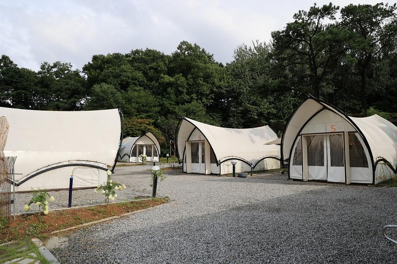 워크안산 피크닉 시설 사진 16