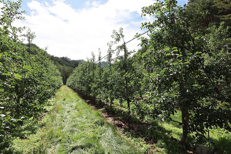 큰빛내 야영장 시설 사진 7