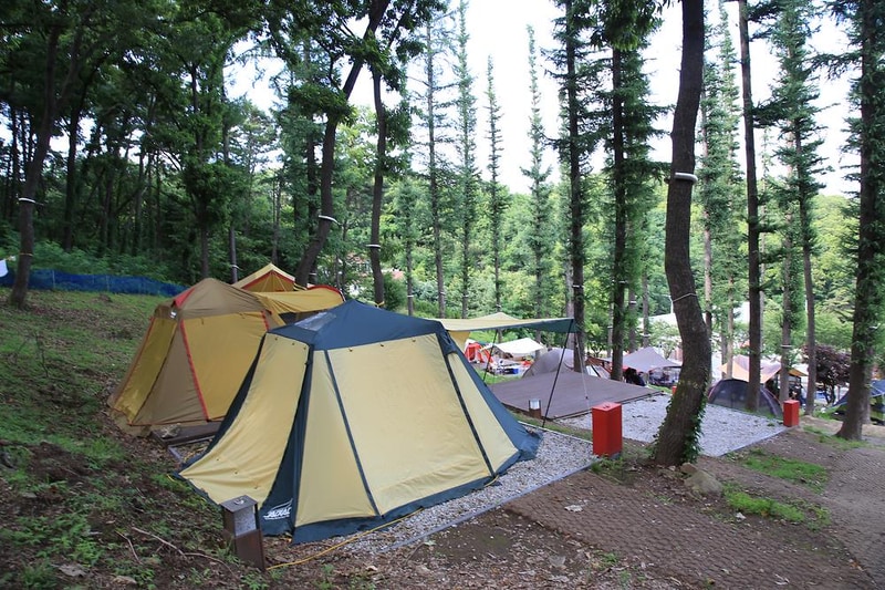 덕산국민여가캠핑장 시설 사진 15