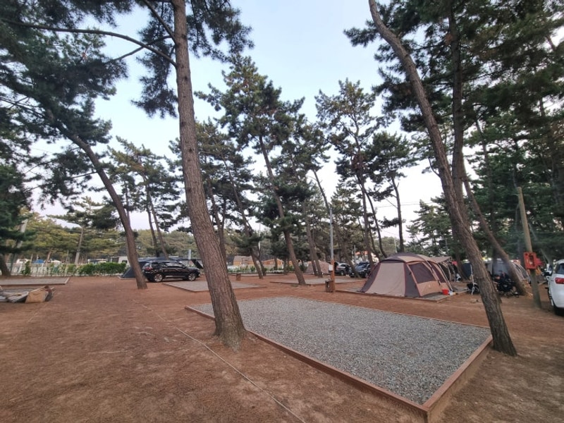 몽산포패밀리데이캠핑장
