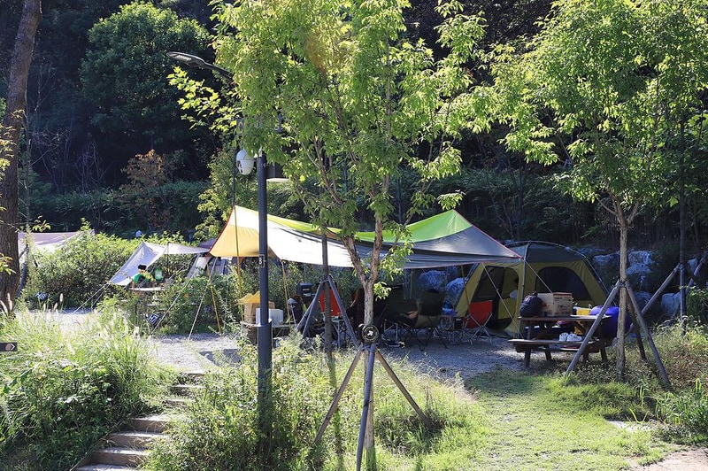 초안산캠핑장 시설 사진 10