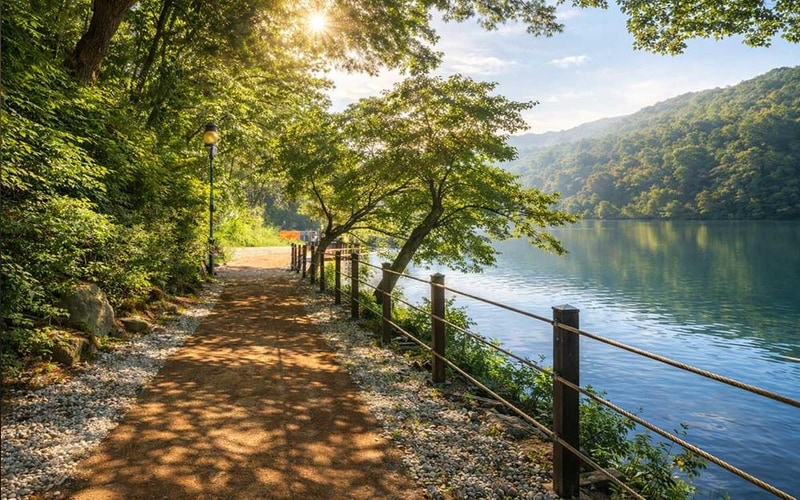 테라스527 캠핑장 시설 사진 26