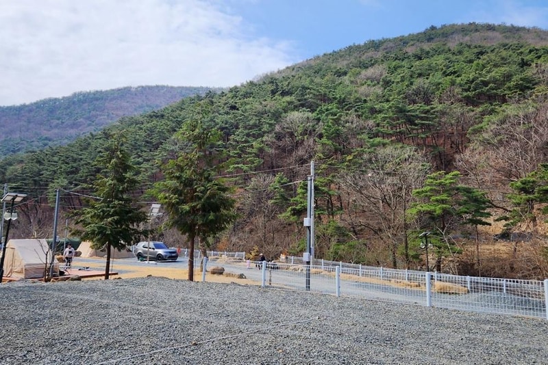 별품은 숲속 캠핑장 시설 사진 9