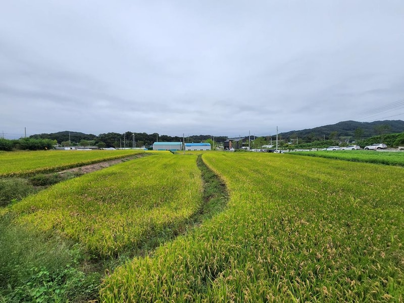 그린바움캠핑장 시설 사진 7