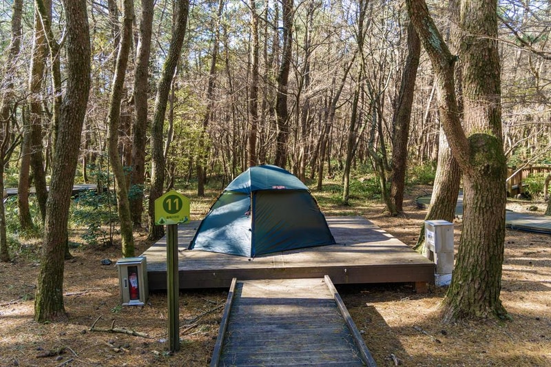 붉은오름 자연휴양림 숲속 야영장 시설 사진 17