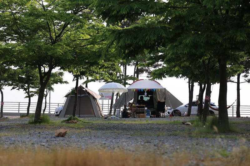 바다풍경관광농원 시설 사진 7