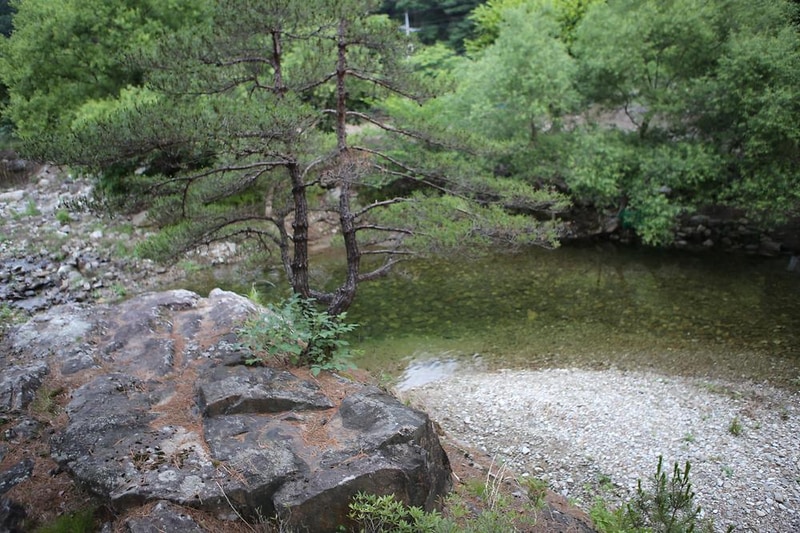 캠프 우든브릿지 시설 사진 11