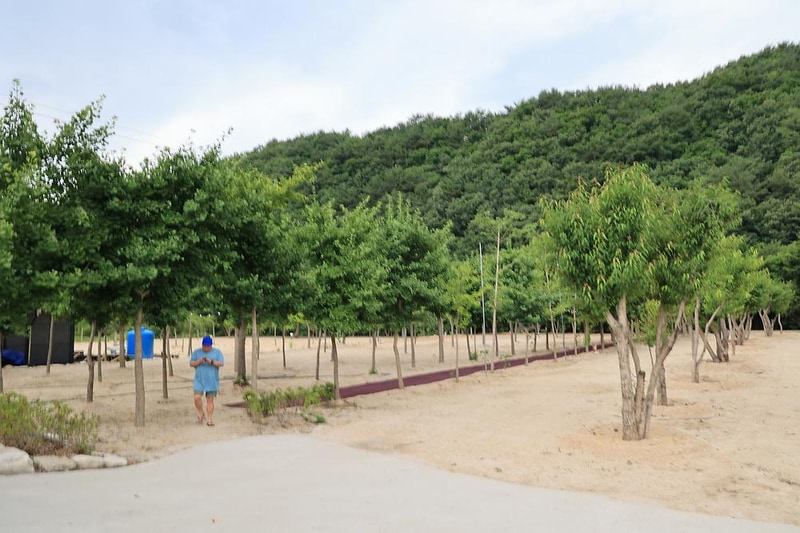 도마치 자연그대로 캠핑장 시설 사진 2