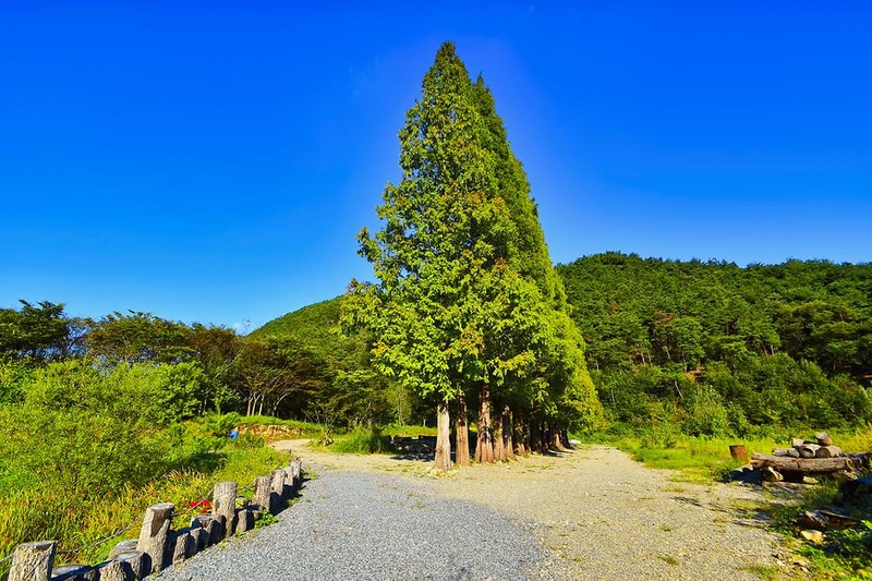 I go 오토캠핑장 시설 사진 10